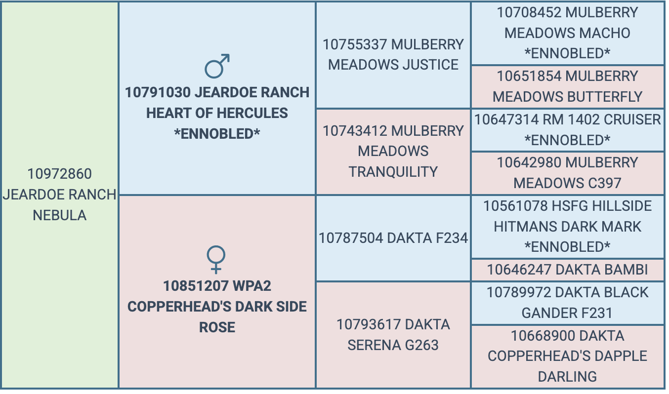 Screenshot 2026-10-04 at 6.15.46 PM