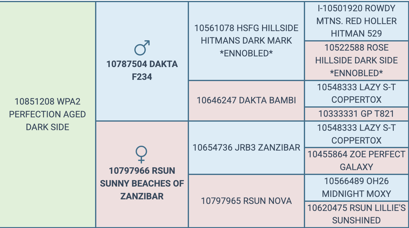 Screenshot 2026-10-04 at 6.48.16 PM